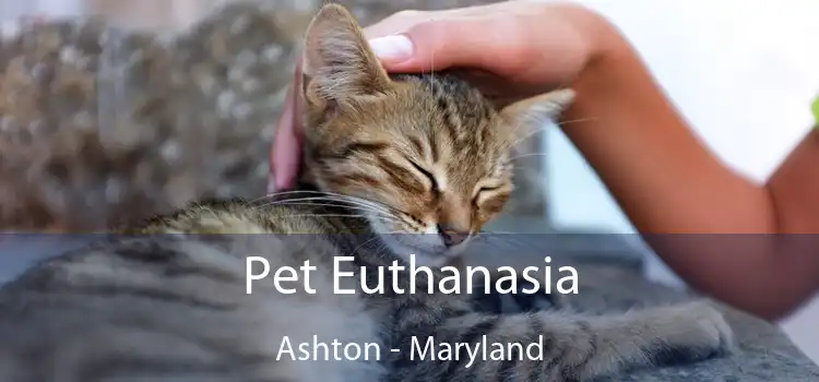 Pet Euthanasia Ashton - Maryland