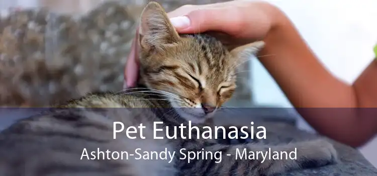 Pet Euthanasia Ashton-Sandy Spring - Maryland
