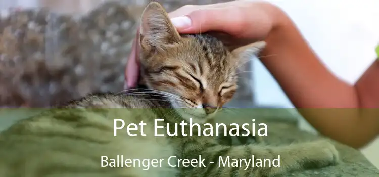 Pet Euthanasia Ballenger Creek - Maryland