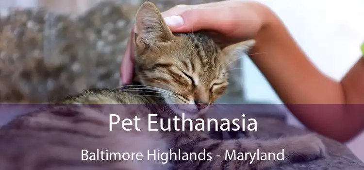 Pet Euthanasia Baltimore Highlands - Maryland