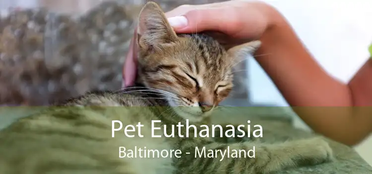 Pet Euthanasia Baltimore - Maryland