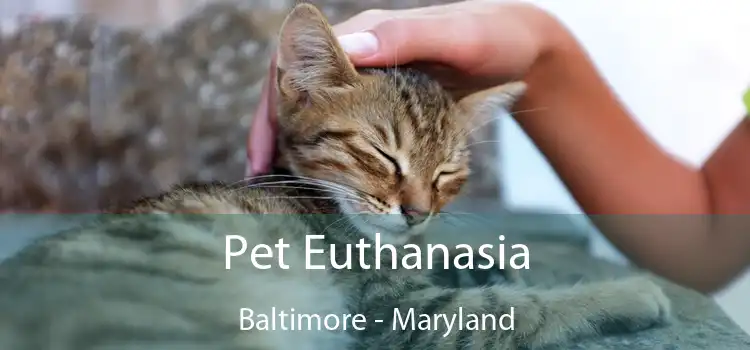 Pet Euthanasia Baltimore - Maryland