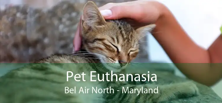 Pet Euthanasia Bel Air North - Maryland