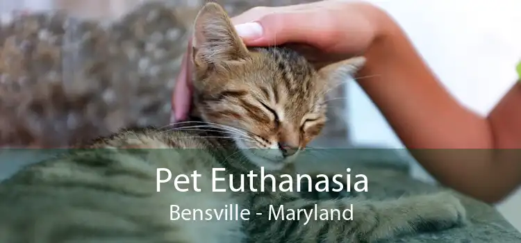 Pet Euthanasia Bensville - Maryland