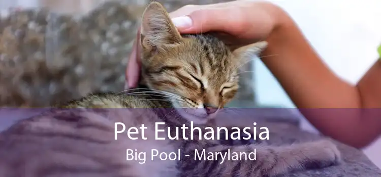 Pet Euthanasia Big Pool - Maryland