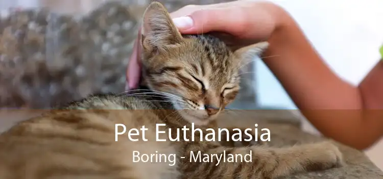 Pet Euthanasia Boring - Maryland