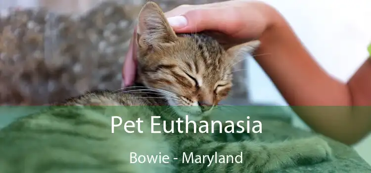 Pet Euthanasia Bowie - Maryland