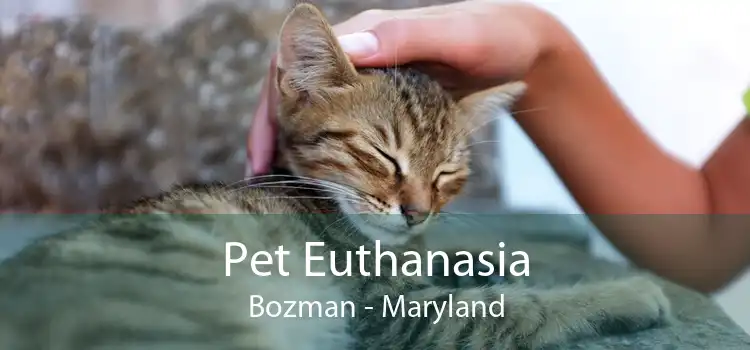 Pet Euthanasia Bozman - Maryland
