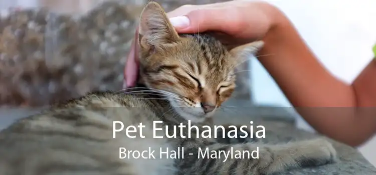 Pet Euthanasia Brock Hall - Maryland