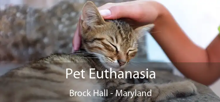 Pet Euthanasia Brock Hall - Maryland