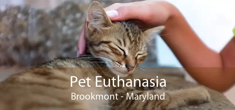 Pet Euthanasia Brookmont - Maryland
