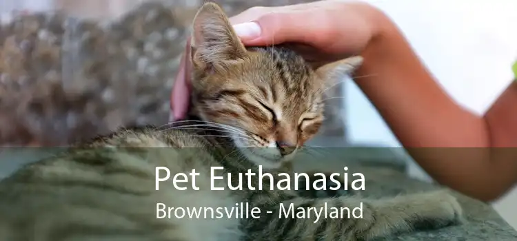 Pet Euthanasia Brownsville - Maryland