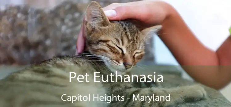 Pet Euthanasia Capitol Heights - Maryland
