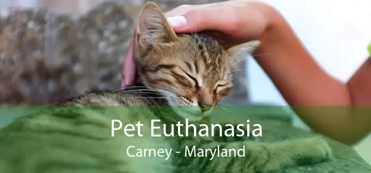 Pet Euthanasia Carney - Maryland