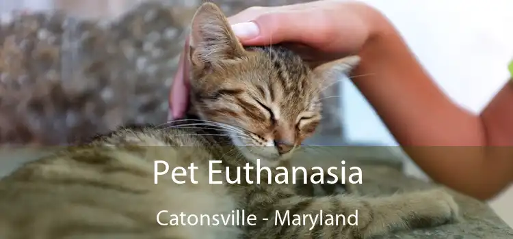 Pet Euthanasia Catonsville - Maryland