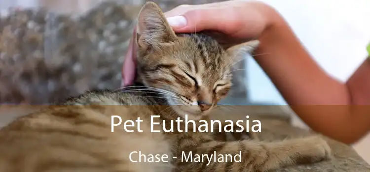 Pet Euthanasia Chase - Maryland
