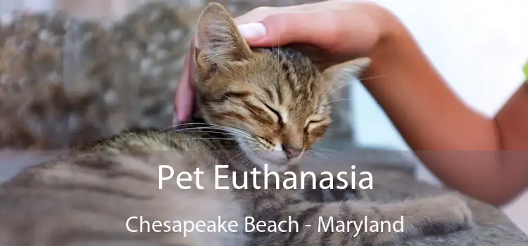 Pet Euthanasia Chesapeake Beach - Maryland