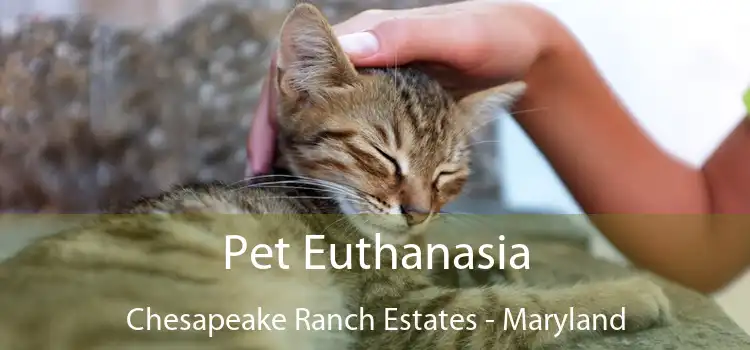 Pet Euthanasia Chesapeake Ranch Estates - Maryland
