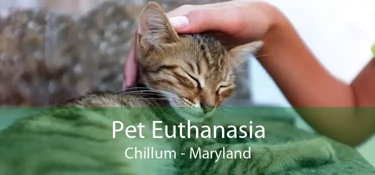 Pet Euthanasia Chillum - Maryland