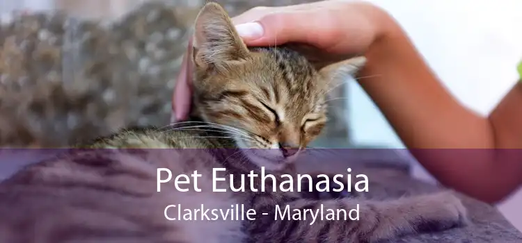 Pet Euthanasia Clarksville - Maryland