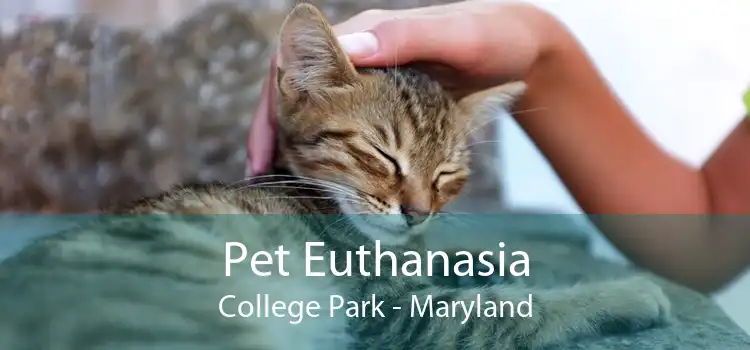 Pet Euthanasia College Park - Maryland