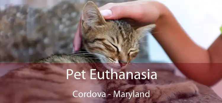 Pet Euthanasia Cordova - Maryland