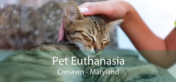Pet Euthanasia Cresawn - Maryland