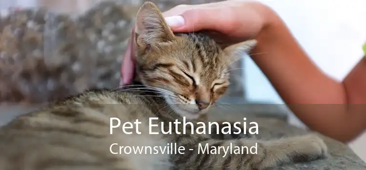 Pet Euthanasia Crownsville - Maryland