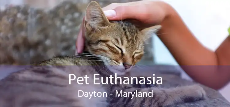 Pet Euthanasia Dayton - Maryland