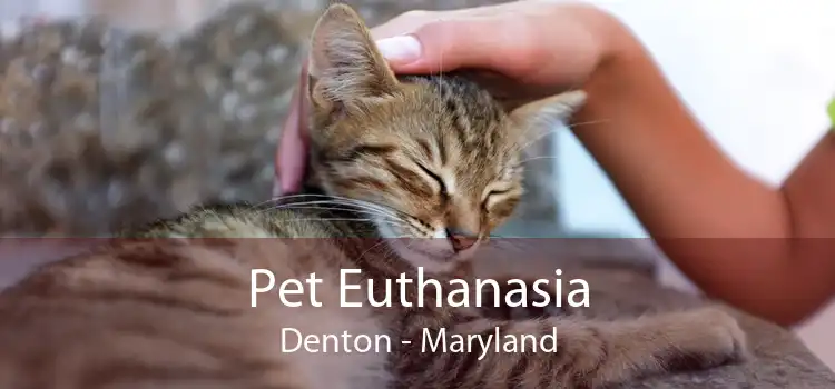 Pet Euthanasia Denton - Maryland