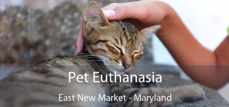 Pet Euthanasia East New Market - Maryland