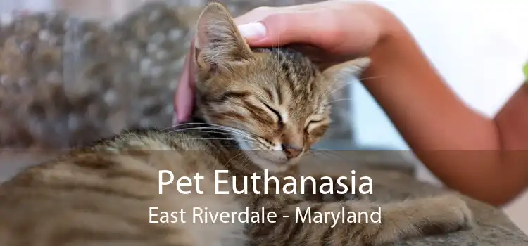 Pet Euthanasia East Riverdale - Maryland
