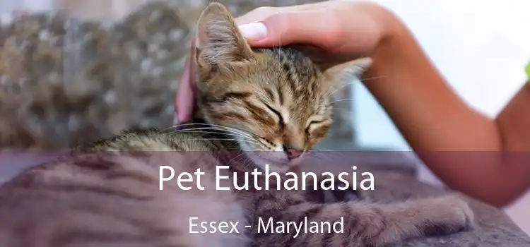 Pet Euthanasia Essex - Maryland