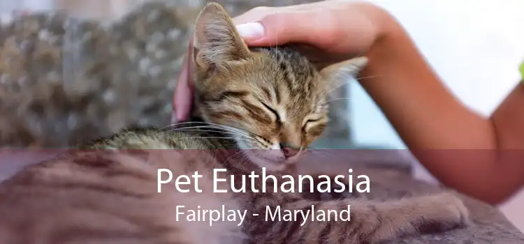 Pet Euthanasia Fairplay - Maryland