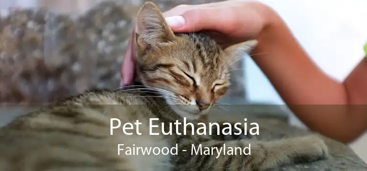 Pet Euthanasia Fairwood - Maryland