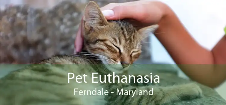 Pet Euthanasia Ferndale - Maryland