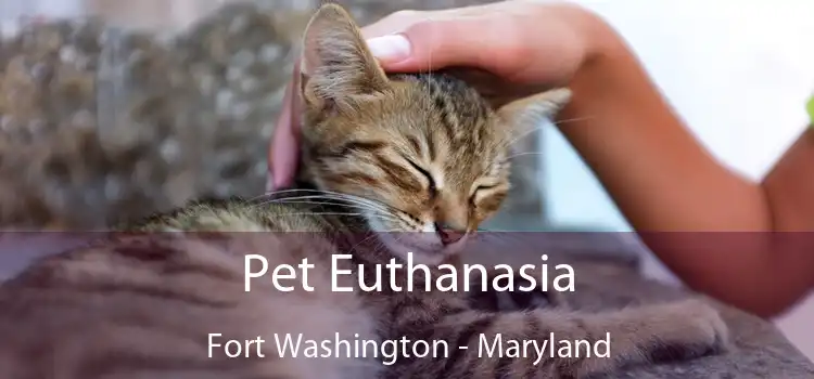 Pet Euthanasia Fort Washington - Maryland