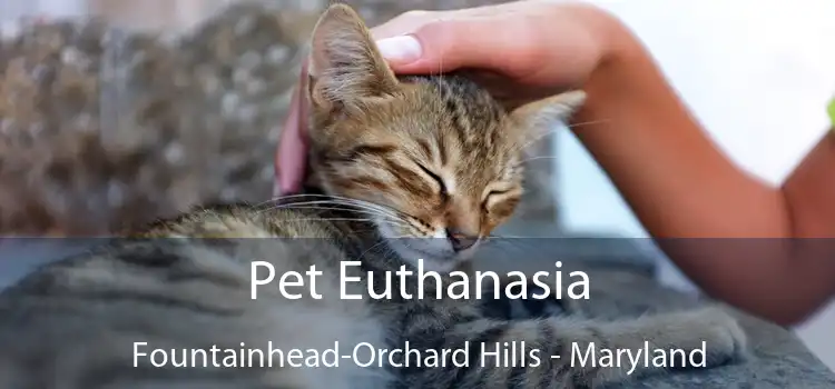 Pet Euthanasia Fountainhead-Orchard Hills - Maryland