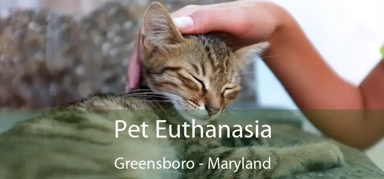 Pet Euthanasia Greensboro - Maryland