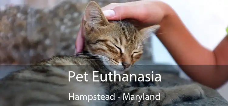 Pet Euthanasia Hampstead - Maryland