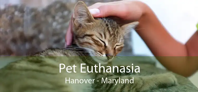 Pet Euthanasia Hanover - Maryland