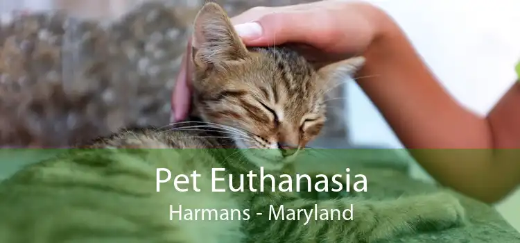 Pet Euthanasia Harmans - Maryland