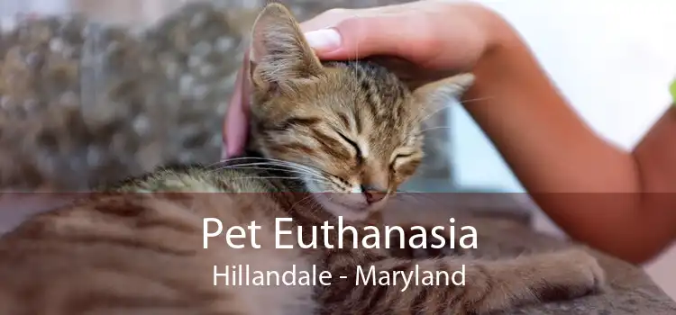 Pet Euthanasia Hillandale - Maryland