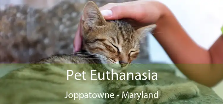 Pet Euthanasia Joppatowne - Maryland
