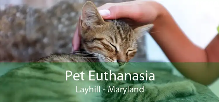 Pet Euthanasia Layhill - Maryland