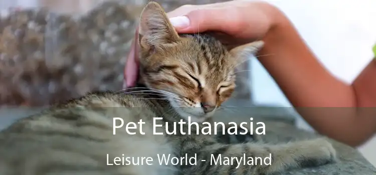 Pet Euthanasia Leisure World - Maryland