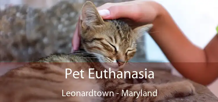 Pet Euthanasia Leonardtown - Maryland