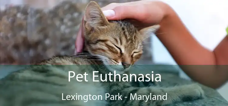 Pet Euthanasia Lexington Park - Maryland