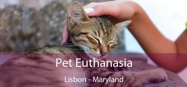 Pet Euthanasia Lisbon - Maryland