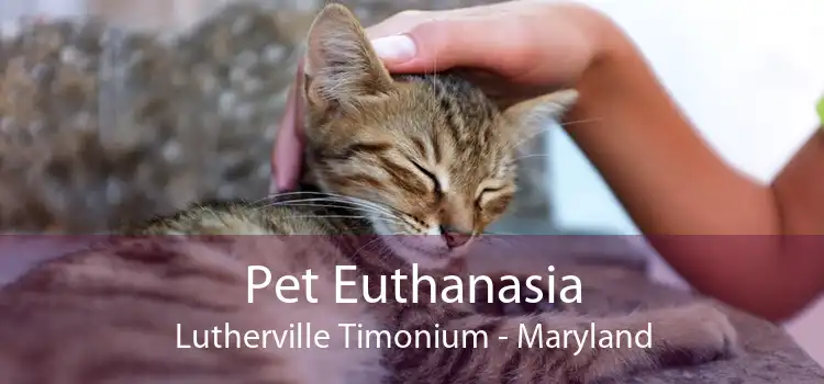 Pet Euthanasia Lutherville Timonium - Maryland